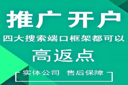 行业领先！专业SEM托管的成功实践案例